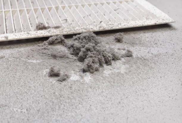 Best Ventilation Cleaning Services  in Rosemont, CA
